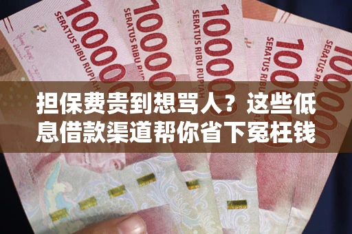 北京担保费贵到想骂人？这些低息借款渠道帮你省下冤枉钱