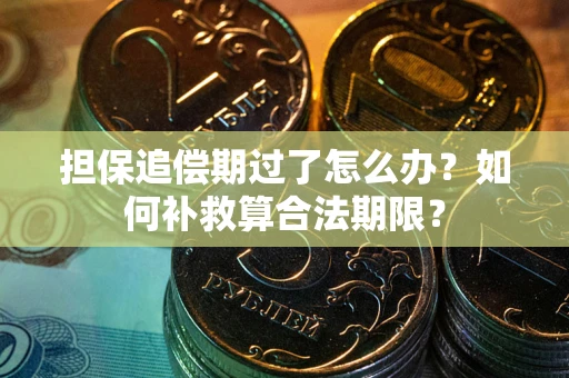 北京担保追偿期过了怎么办？如何补救算合法期限？