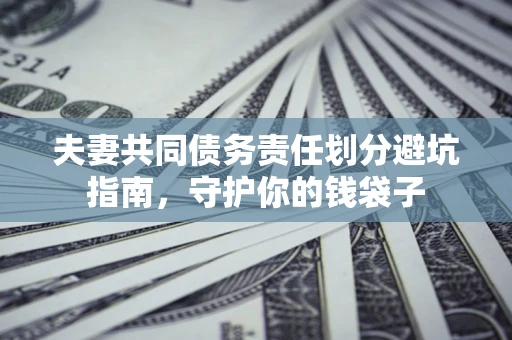北京夫妻共同债务责任划分避坑指南，守护你的钱袋子