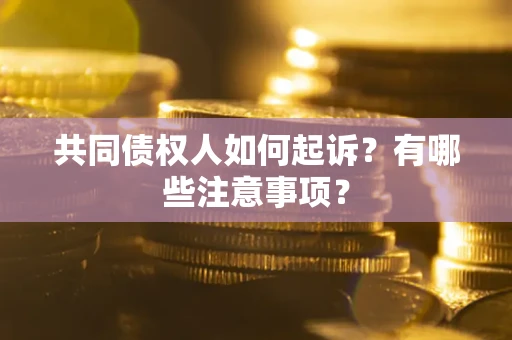 北京共同债权人如何起诉？有哪些注意事项？