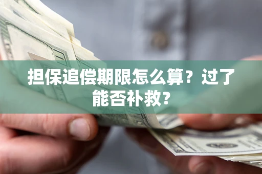 北京担保追偿期限怎么算？过了能否补救？